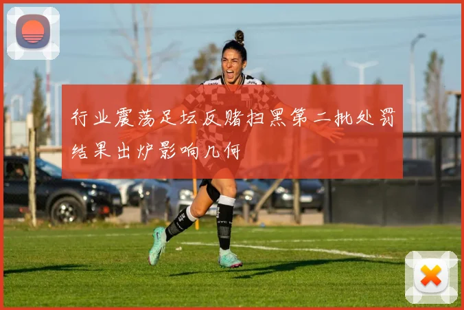 行业震荡足坛反赌扫黑第二批处罚结果出炉影响几何