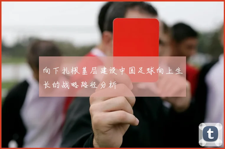 向下扎根基层建设中国足球向上生长的战略路径分析