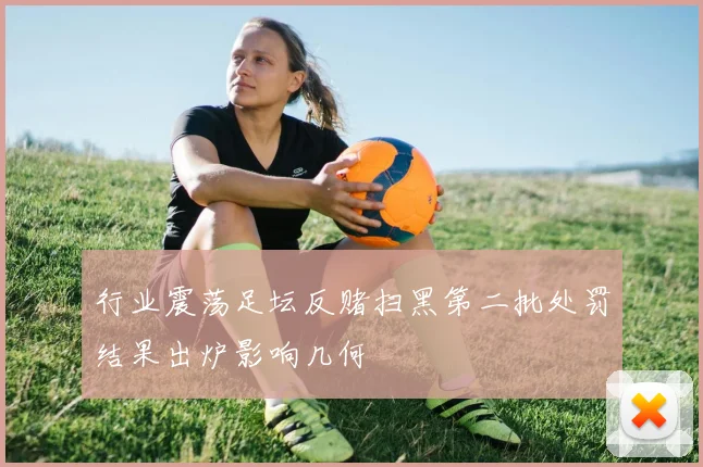 行业震荡足坛反赌扫黑第二批处罚结果出炉影响几何